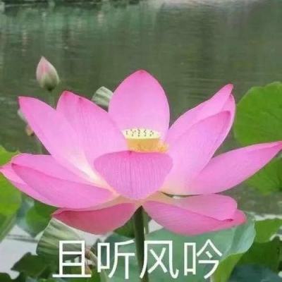 联播快讯：各地举行民俗活动共度腊八节